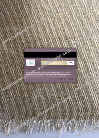 Indonesia bank Negara indonesia (BNI) visa classic card photolook back